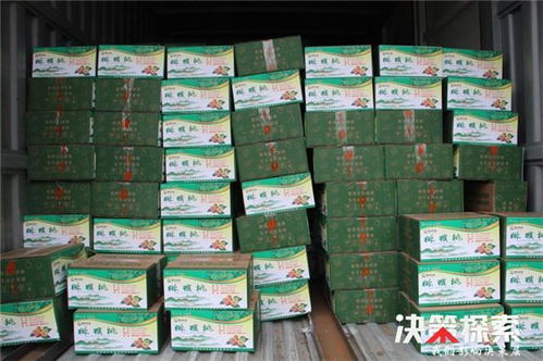警民携手 共克时艰 爱心企业为新野公安民警 辅警捐赠防护用品和生活物资